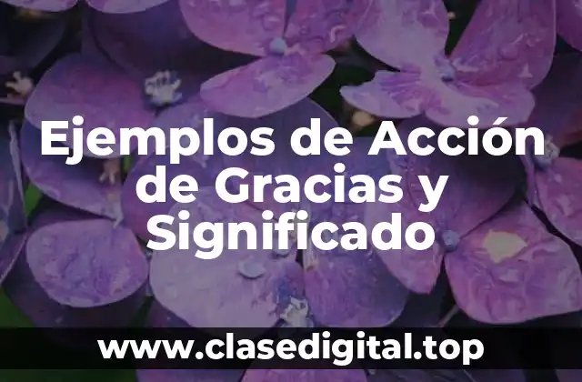 Ejemplos de Acción de Gracias y Significado