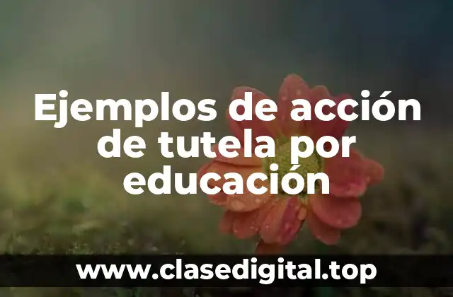 Ejemplos de acción de tutela por educación