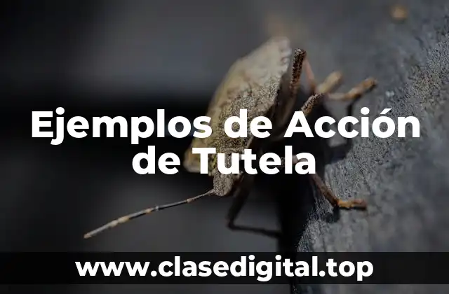 Ejemplos de Acción de Tutela
