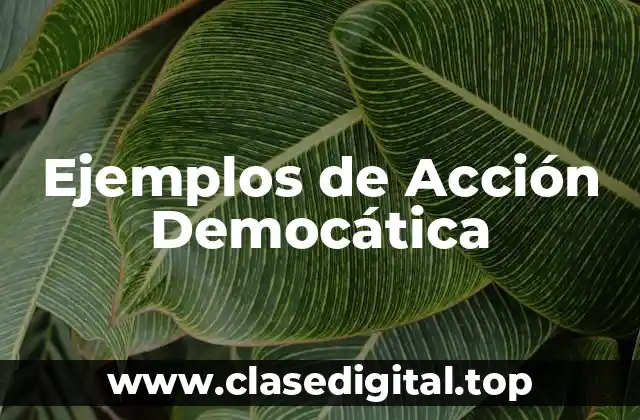 Ejemplos de Acción Democática