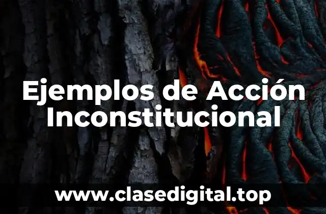 Ejemplos de Acción Inconstitucional