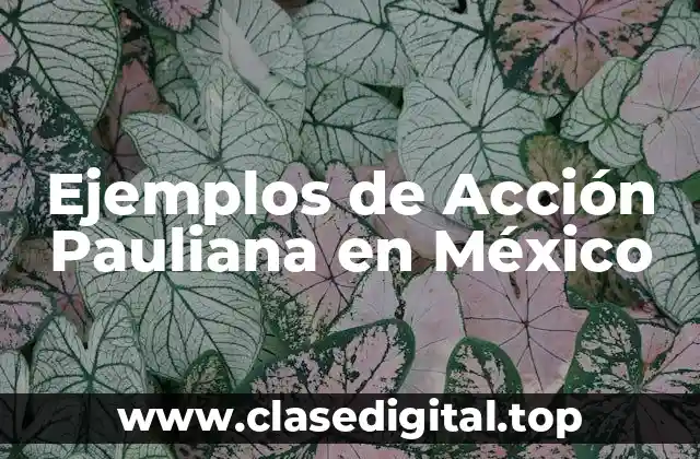 Ejemplos de Acción Pauliana en México