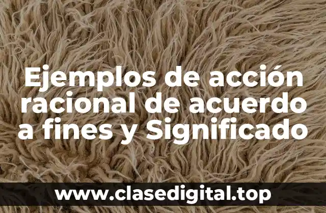 Ejemplos de acción racional de acuerdo a fines y Significado