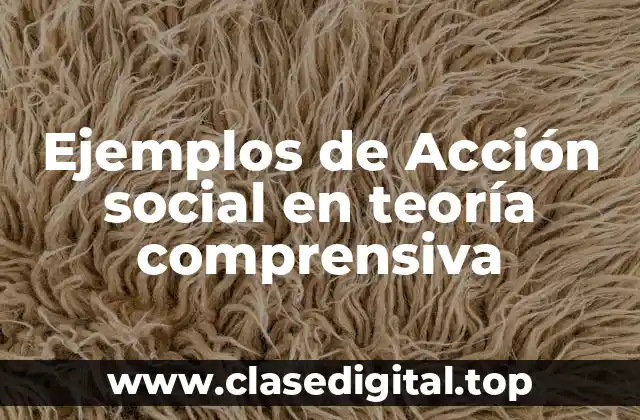 Ejemplos de Acción social en teoría comprensiva