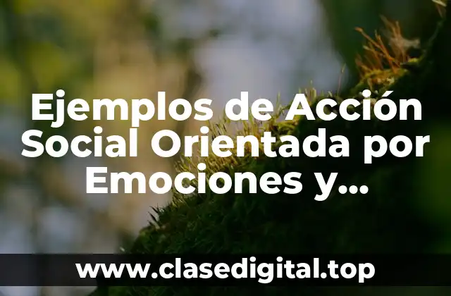 Ejemplos de Acción Social Orientada por Emociones y Significado