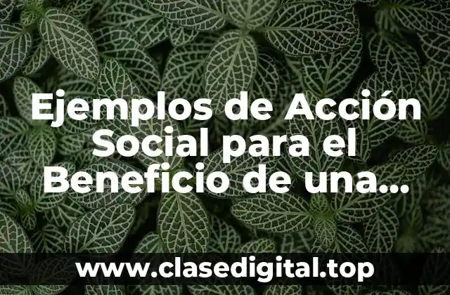 Ejemplos de Acción Social para el Beneficio de una Prepa