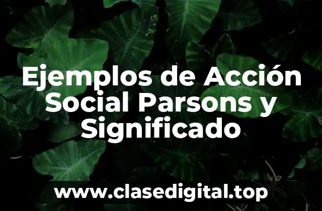 Ejemplos de Acción Social Parsons