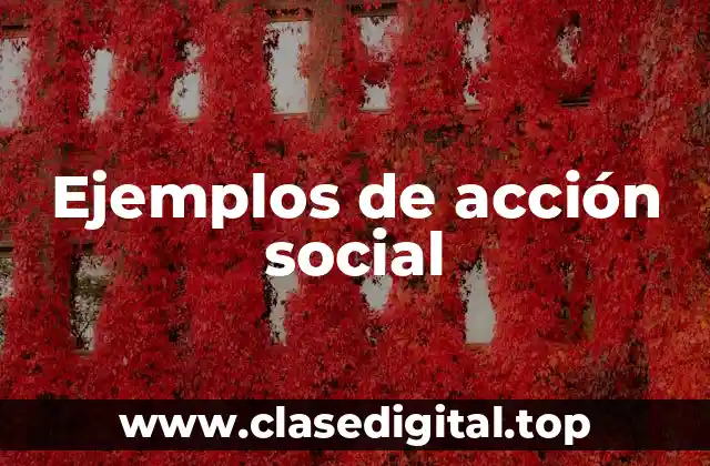 Ejemplos de acción social