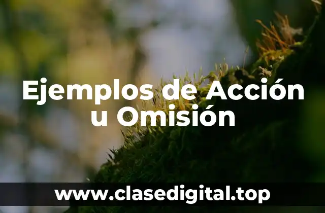 Ejemplos de Acción u Omisión