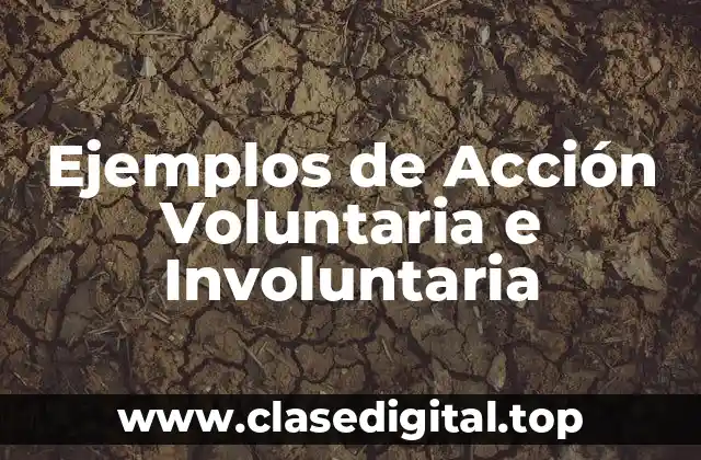 Ejemplos de Acción Voluntaria e Involuntaria