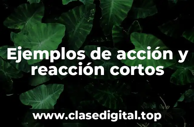 Ejemplos de acción y reacción cortos