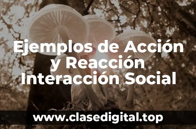 Ejemplos de Acción y Reacción Interacción Social