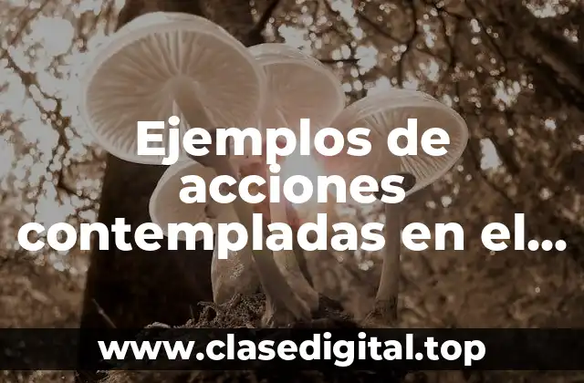 Ejemplos de acciones contempladas en el Código Civil