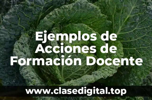 Ejemplos de Acciones de Formación Docente