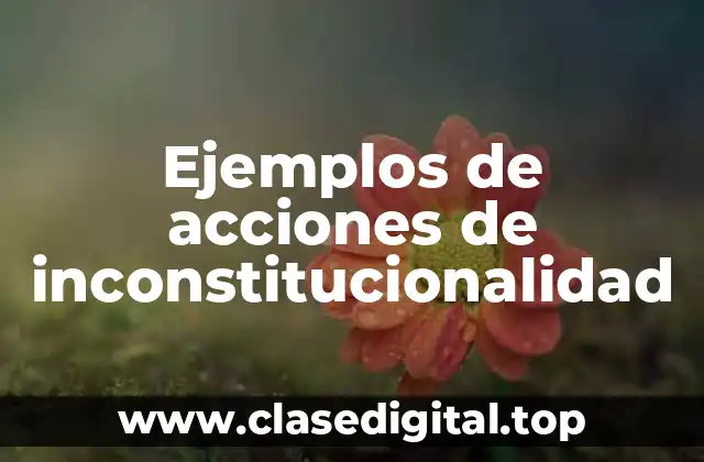 Ejemplos de acciones de inconstitucionalidad