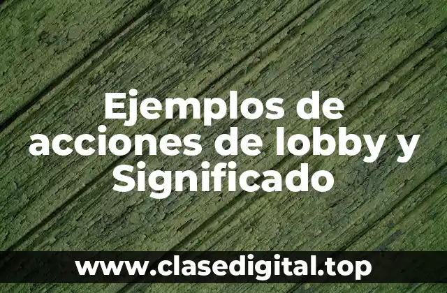 Ejemplos de acciones de lobby y Significado