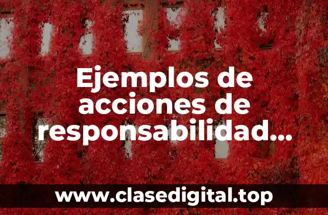 Ejemplos de acciones de responsabilidad social individual