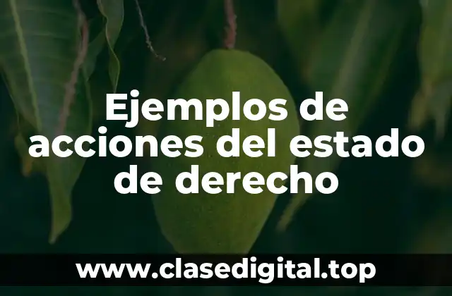 Ejemplos de acciones del estado de derecho