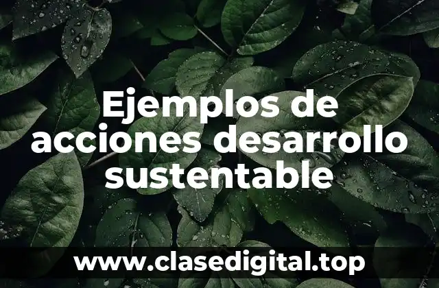 Ejemplos de acciones de desarrollo sustentable
