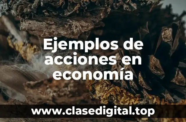 Ejemplos de acciones en economía