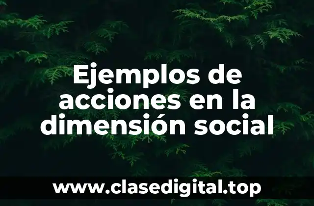 Ejemplos de acciones en la dimensión social