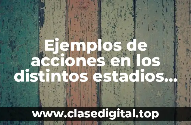 Ejemplos de acciones en los distintos estadios según Pia