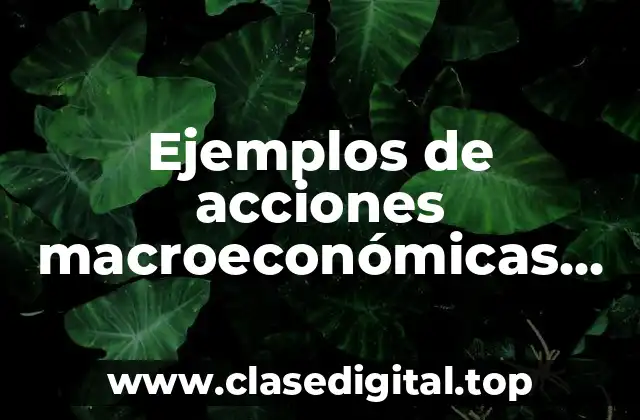 Ejemplos de acciones macroeconómicas irrationales y Significado