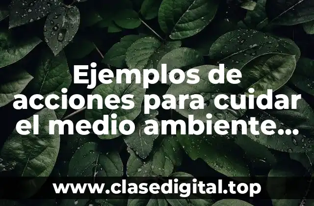 Ejemplos de acciones para cuidar el medio ambiente ingles y español