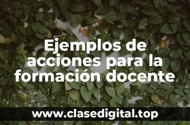 Ejemplos de acciones para la formación docente