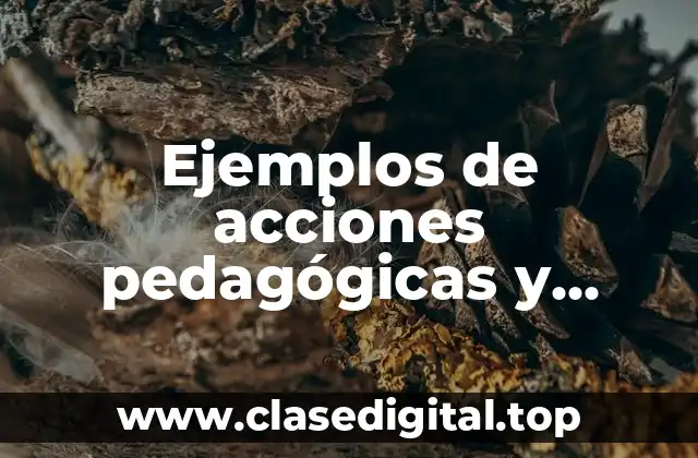 Ejemplos de acciones pedagógicas y Significado