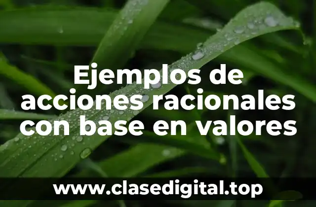 Ejemplos de acciones racionales con base en valores