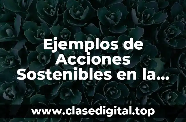 Ejemplos de Acciones Sostenibles en la Empresa de Bubbalo y Significado