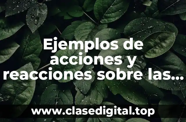 Ejemplos de acciones y reacciones sobre las distintas masas