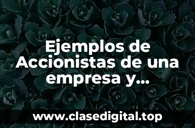 Ejemplos de Accionistas de una empresa y Significado