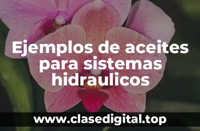 Ejemplos de aceites para sistemas hidraulicos
