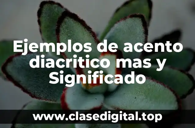 Ejemplos de acento diacritico mas