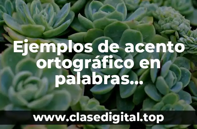 Ejemplos de acento ortográfico en palabras sobreesdrujulas