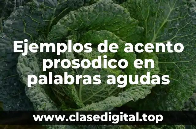 Ejemplos de acento prosodico en palabras agudas