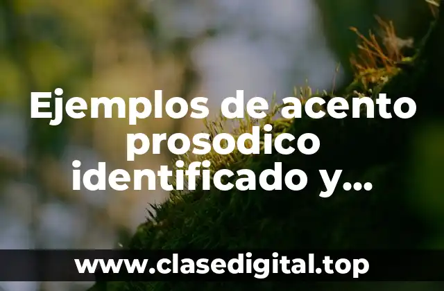 Ejemplos de acento prosodico identificado y Significado