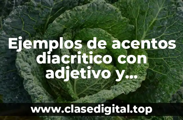 Ejemplos de acentos diacritico con adjetivo y circuntancial