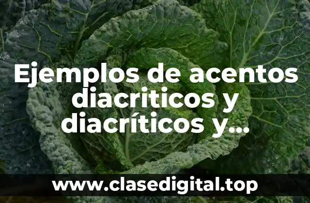 Ejemplos de acentos diacriticos y diacríticos y Significado
