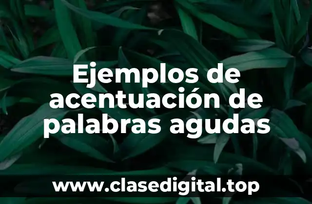 Ejemplos de acentuación de palabras agudas