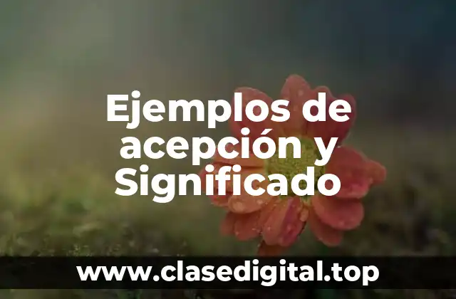 Ejemplos de acepción y Significado