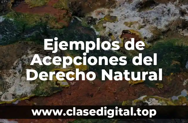 Ejemplos de Acepciones del Derecho Natural