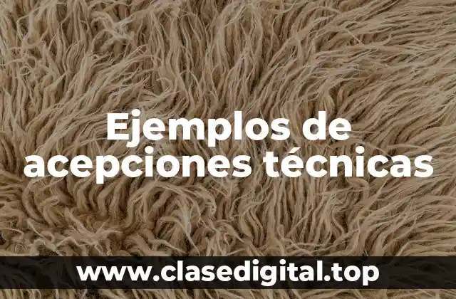 Ejemplos de acepciones técnicas