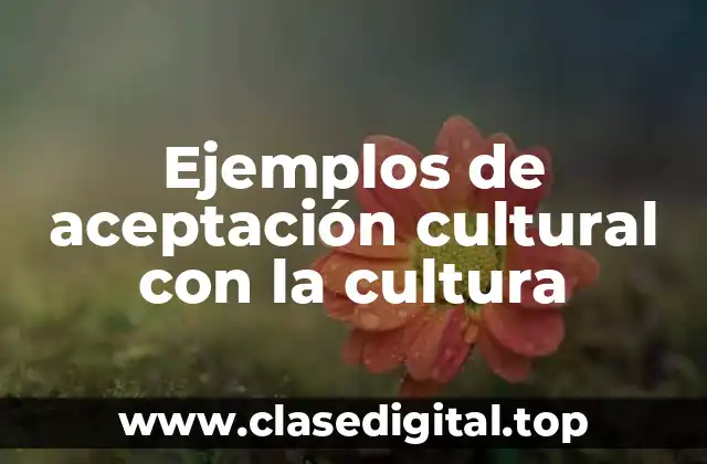 Ejemplos de aceptación cultural con la cultura