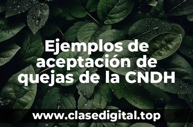 Ejemplos de aceptación de quejas de la CNDH