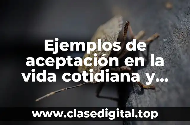 Ejemplos de aceptación en la vida cotidiana y Significado
