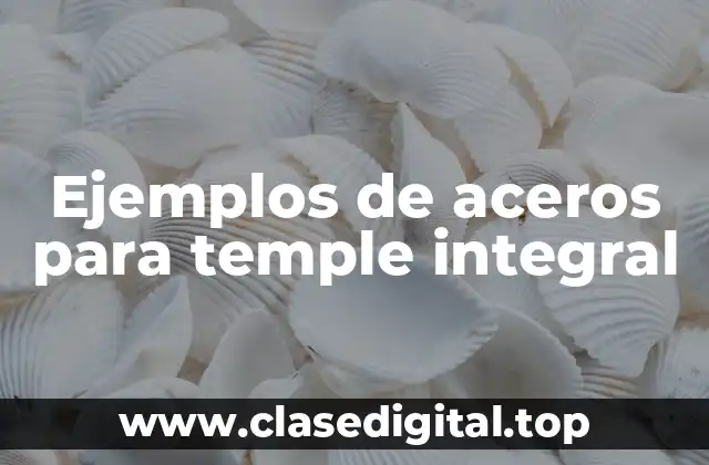 Ejemplos de aceros para temple integral