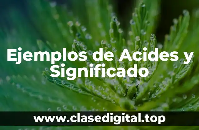 Ejemplos de Acides y Significado